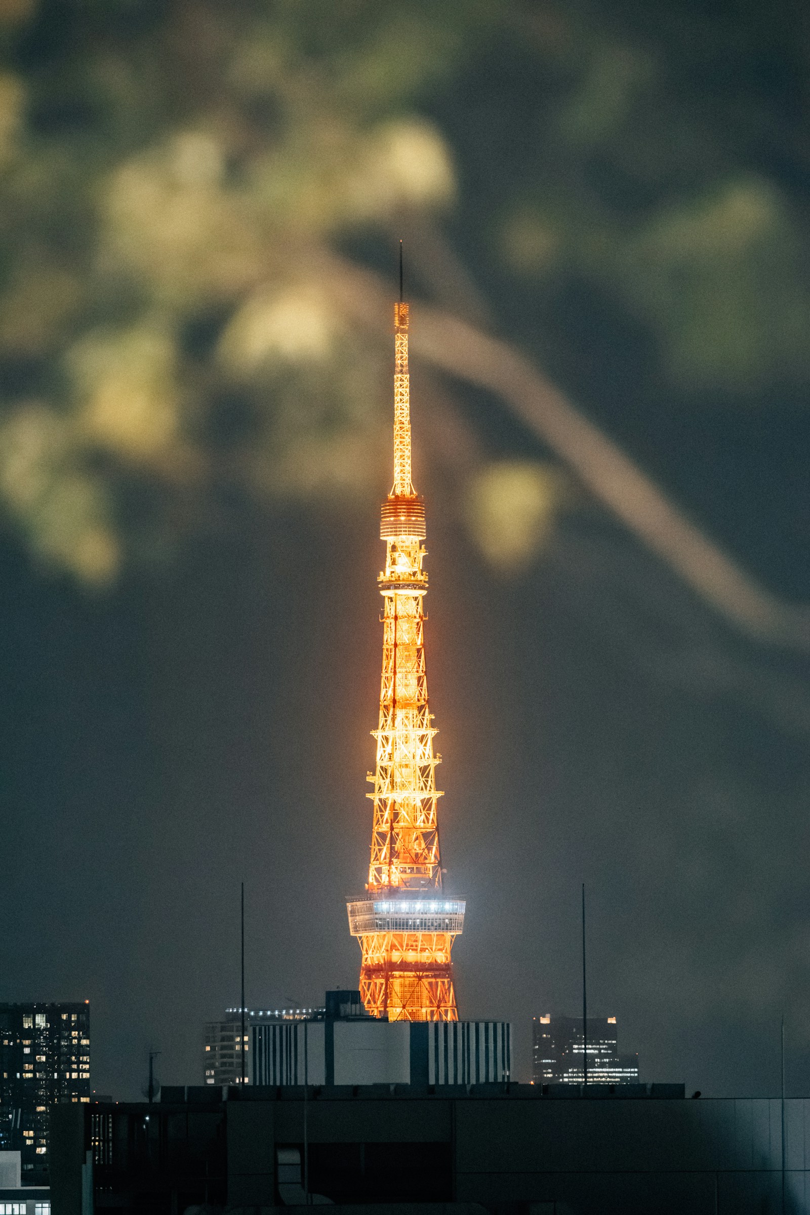 Tokyo skyline at night for a nightlife and evening planning guide